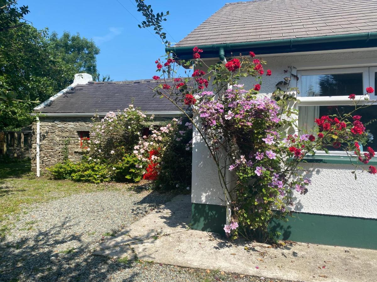 Hawthorn Cottage Грийнкасъл Екстериор снимка